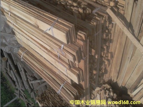 ��ľ�l����ľ��