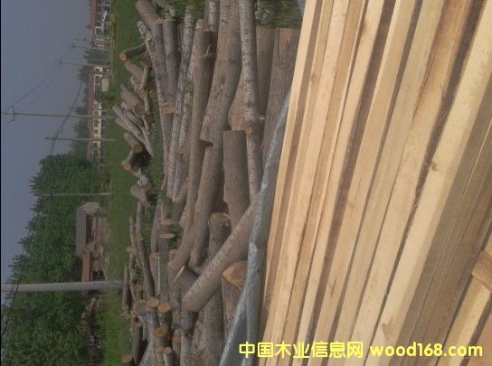 ��ľ��ģ�ľ�l��ľ��