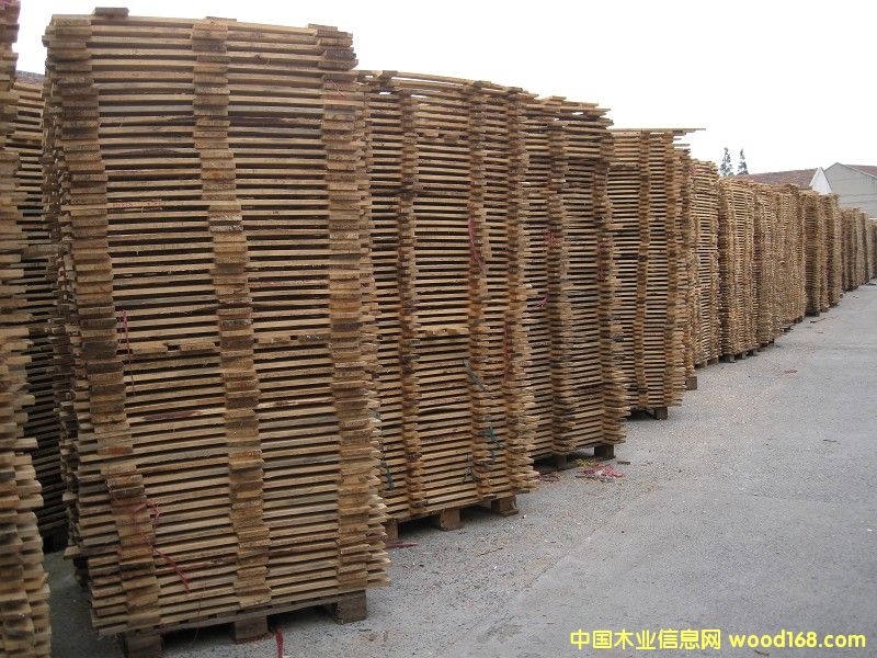 12��Ԕ����B