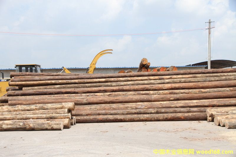 4��Ԕ����B