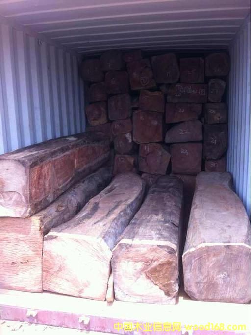 [��] 2016�����b����ľAfzelia,Doussie