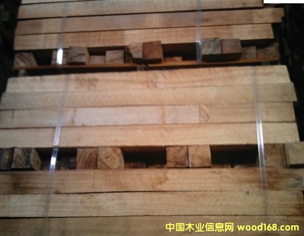 橡膠木的詳細(xì)介紹