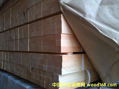 ���������Ǘl��Ԕ��(x��)��B