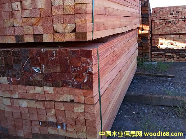 �����ɷ�ľ��Ԕ��(x��)��B