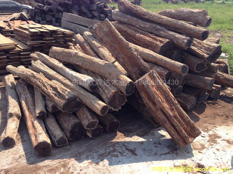 �Ϲ�̴(�|�Ǻ��S̴)1309-1��Ԕ��(x��)��B