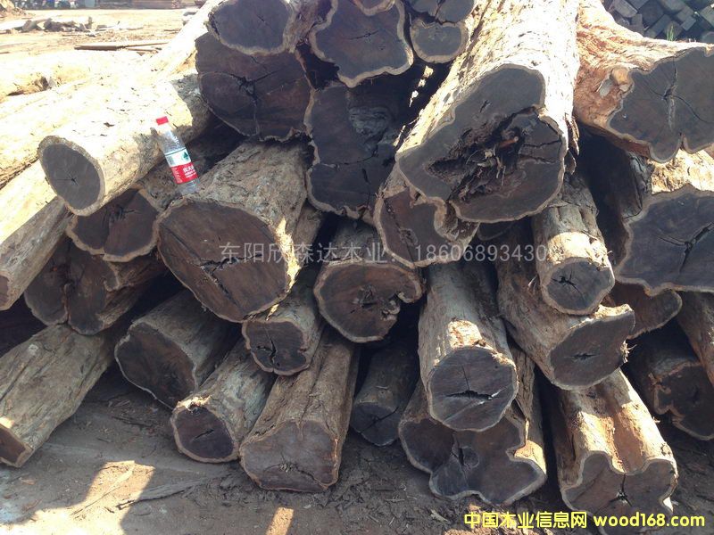 �Ϲ�̴(�|�Ǻ��S̴)1309-2��Ԕ��(x��)��B