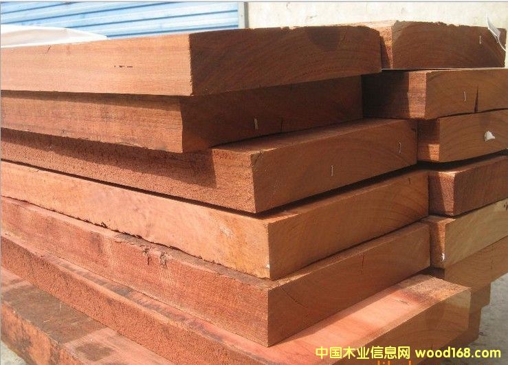 加拉的詳細(xì)介紹