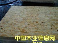 �W�ɰ�OSB��ĵ�Ԕ����B