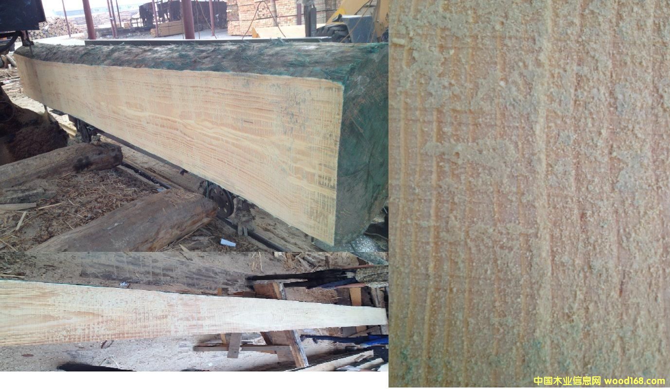 ݗ���ɵ�Ԕ��(x��)��B