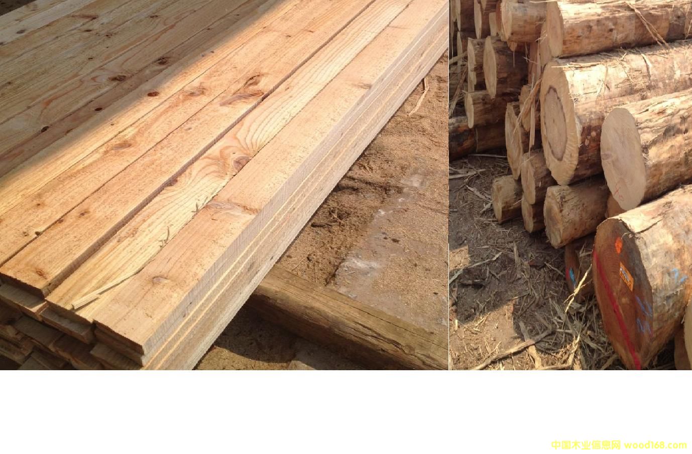 �Fɼ��Ԕ��(x��)��B