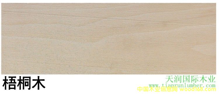 ��ͩľ Sycamore��Ԕ��(x��)��B