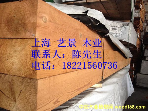 �tѩ�ɵ����c(di��n)�������Ԕ��(x��)��B