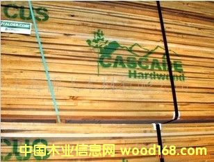 ���������Ԕ����B