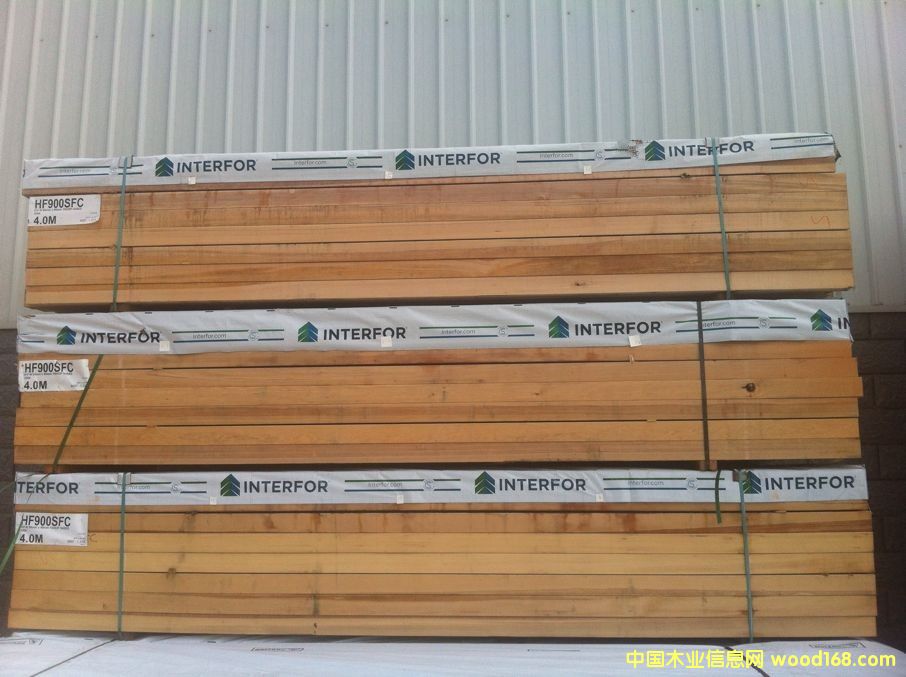 鐵杉2的詳細(xì)介紹