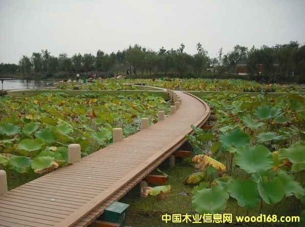 ��(h��)��ذ�2��Ԕ��(x��)��B