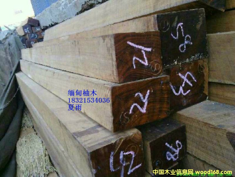 ������ľ��Ԕ����B