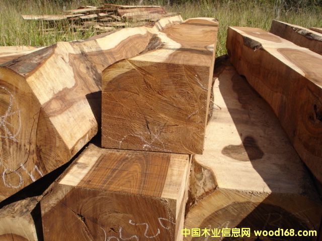 ܊������Ԕ��(x��)��B