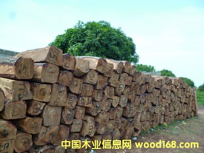 �Ӽ{������ �����̴��Ԕ��(x��)��B