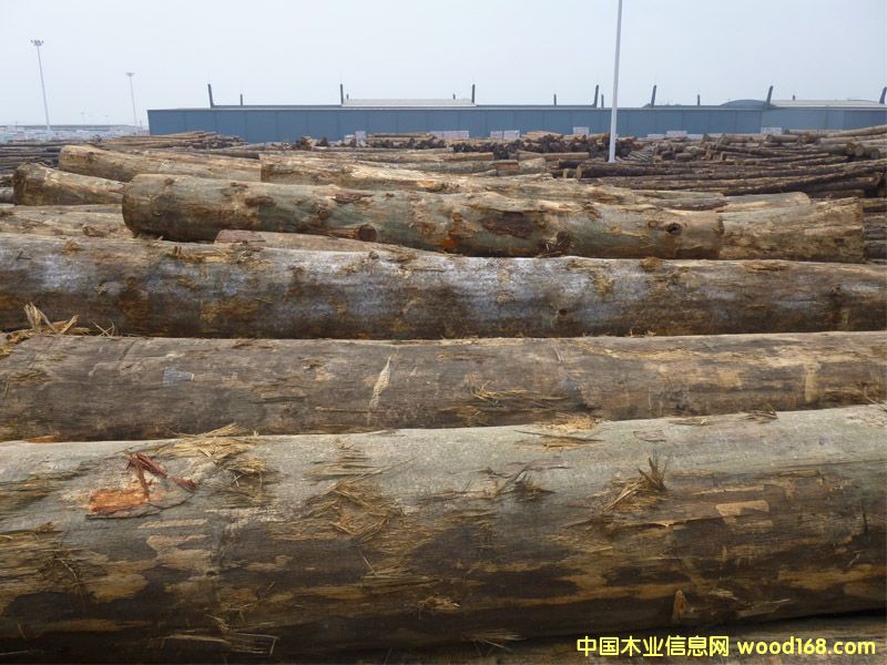 �����ɣ������ģ���Ԕ��(x��)��B