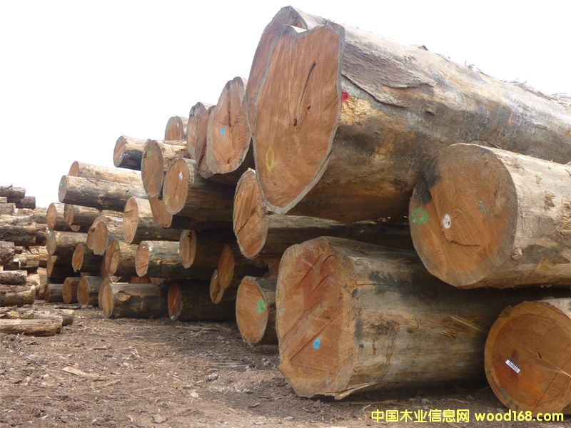 �����ɣ������ģ���Ԕ��(x��)��B