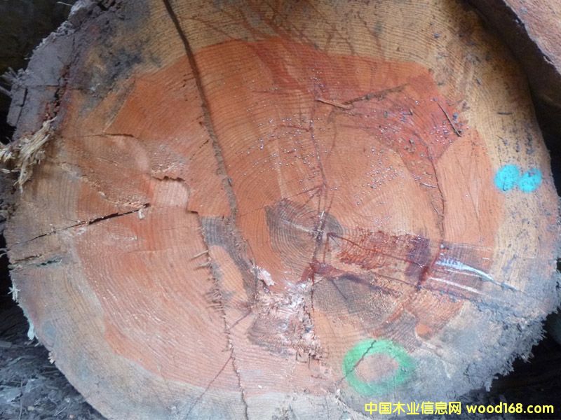 �����ɣ������ģ���Ԕ��(x��)��B