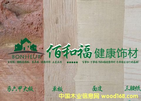 �R���� ���B(t��i)���������¹��