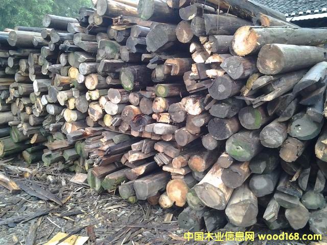 2�������f����������