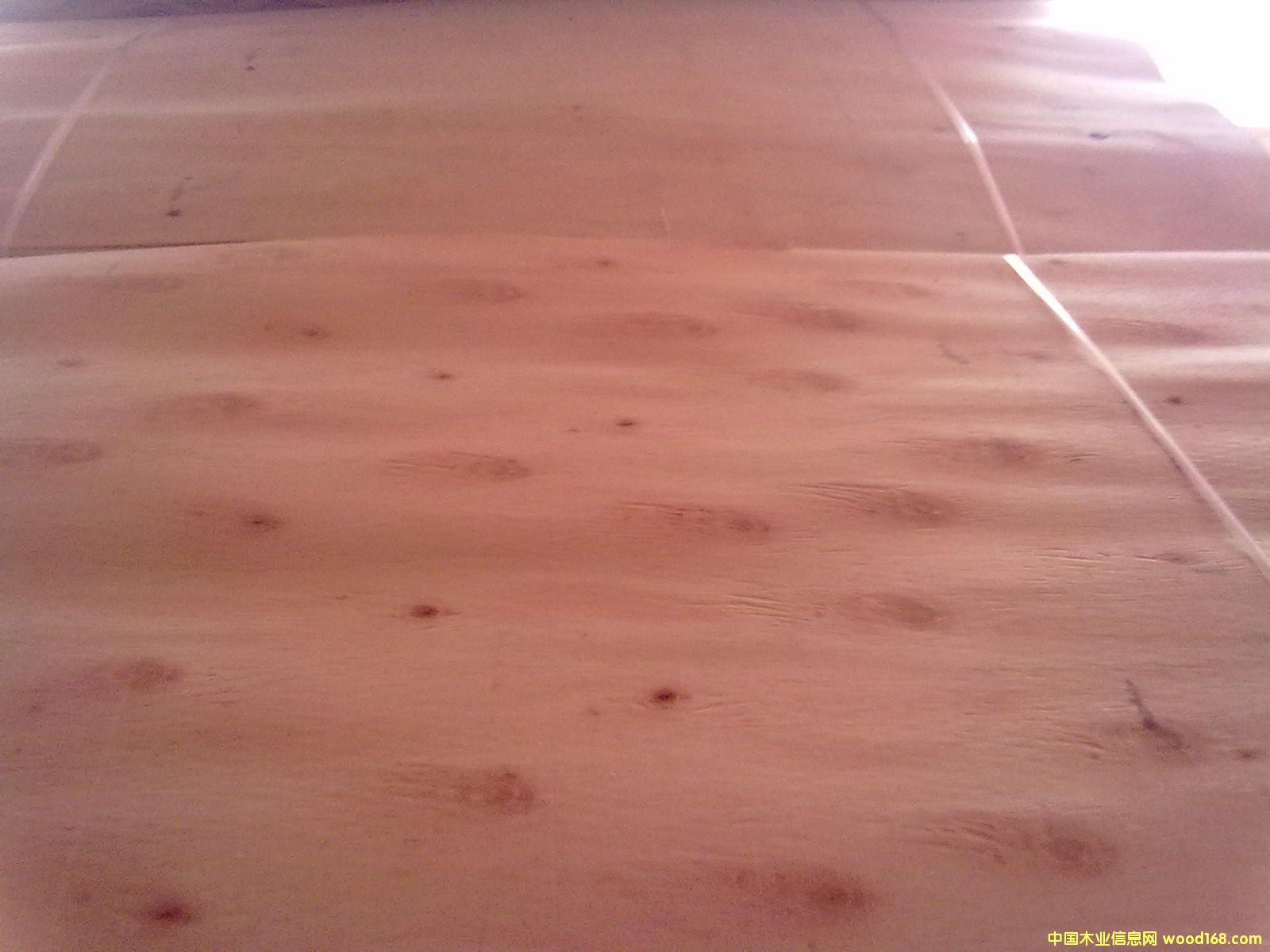 һ��(j��)���Ԕ��(x��)��B