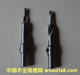 沙拉鉆的詳細(xì)介紹