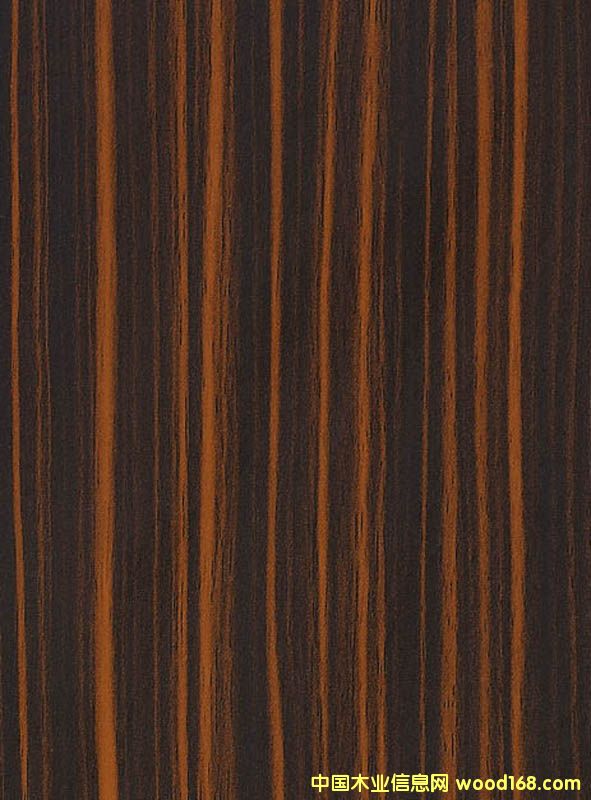 ������������Ԕ����B