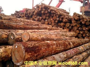 ݗ���ɵ�Ԕ��(x��)��B