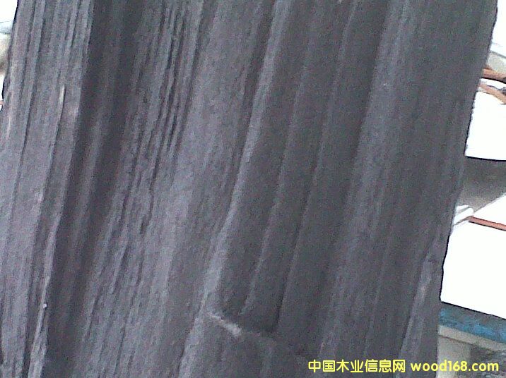 樹皮的詳細(xì)介紹