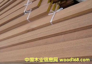 第倫桃的詳細(xì)介紹