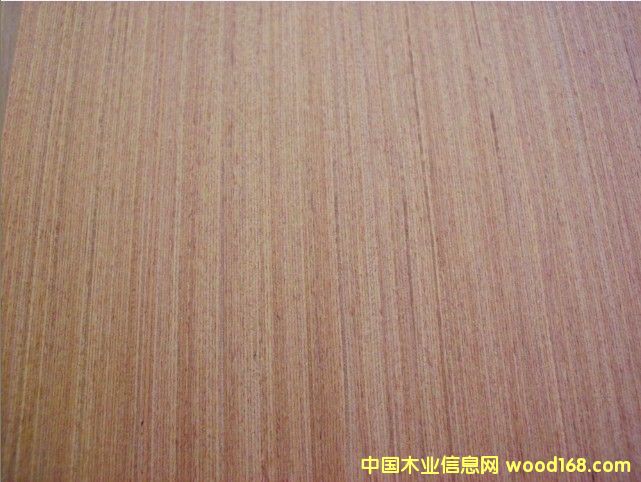 ����(y��ng)EV��(x��)�y��ľ��ľƤ��Ԕ��(x��)��B