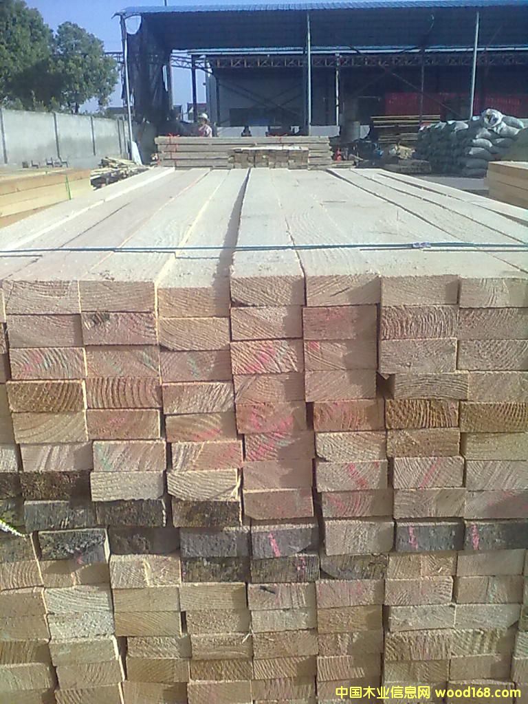 �����ɽ���ľ��