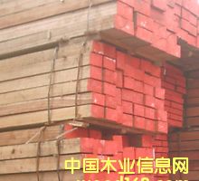 [��] ����(y��ng)�����t�����S����ľ