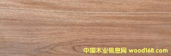 ������ľ��Ԕ����B