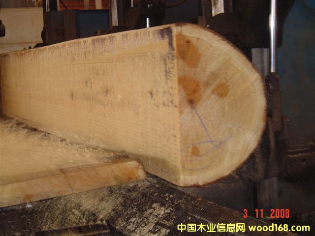 �����ԭľ��Ԕ��(x��)��B