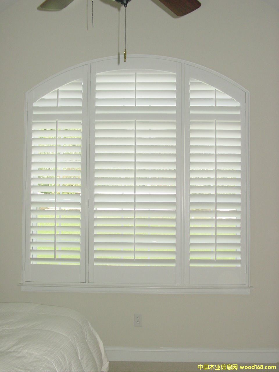 ��(sh��)ľ���~����Ԕ��(x��)��B