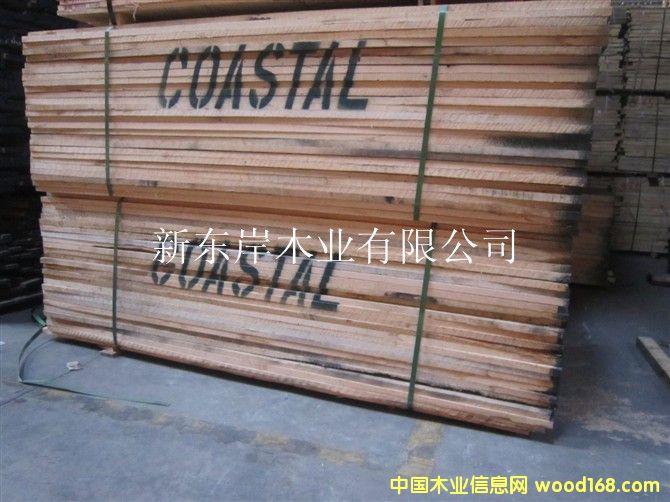 �t��-Coastal��Ԕ��(x��)��B