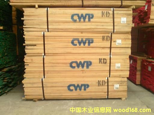 �t�� CWP��Ԕ����B