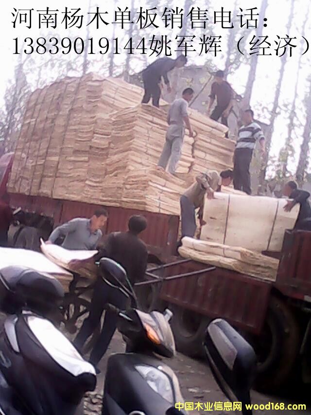 ��ľ�ΰ���۵�Ԕ��(x��)��B