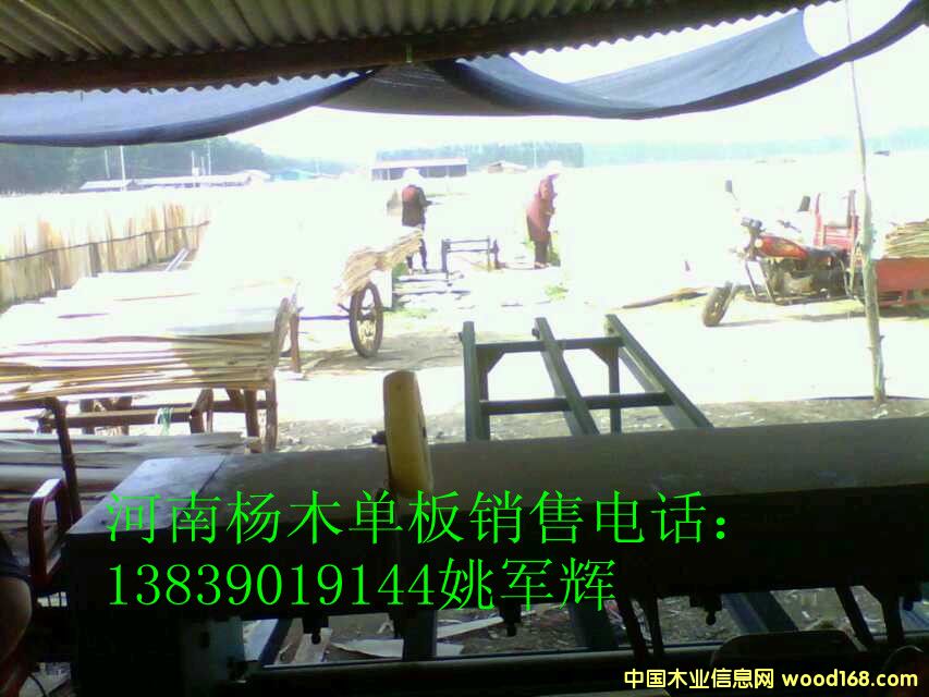 ��ľ�ΰ�۳����۵�Ԕ��(x��)��B