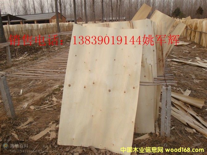 ��ľ�ΰ�۳���N(xi��o)�۵�Ԕ��(x��)��B