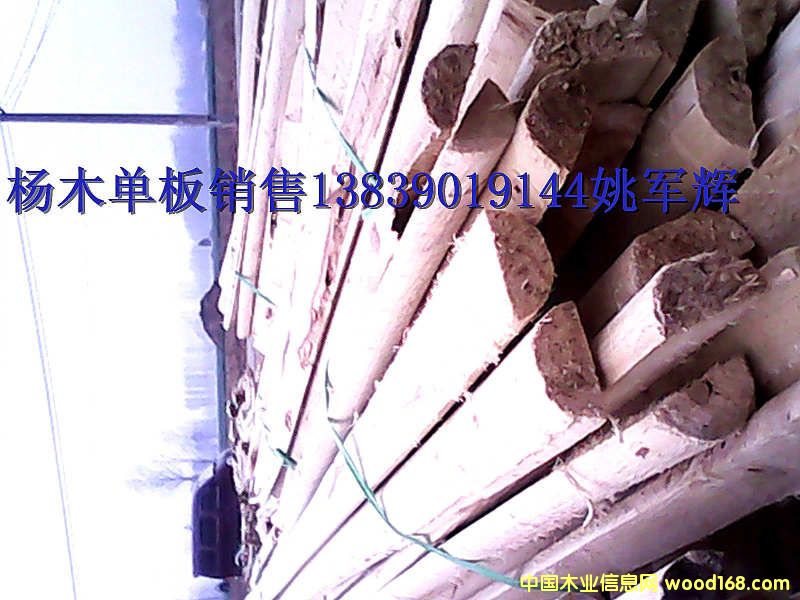 楊木條的詳細(xì)介紹