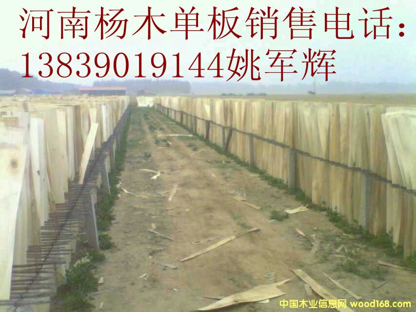 ۳���ľ�ΰ��Ԕ��(x��)��B