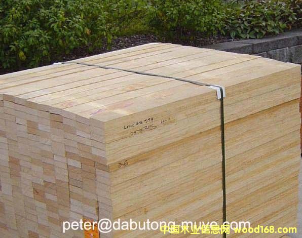 �����mݗ���ɵ�Ԕ����B