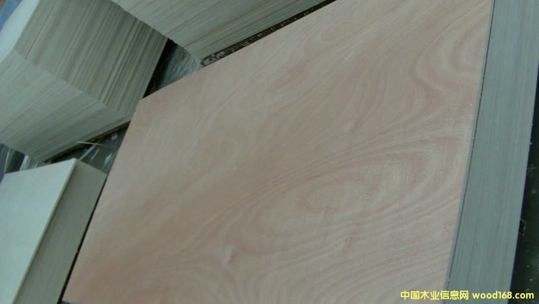 ��ľо�Ҿ߰�5~18��