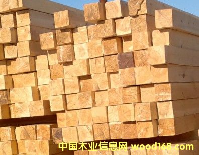 �Ͼ���õķ���ľ�S�ҵ�Ԕ��(x��)��B