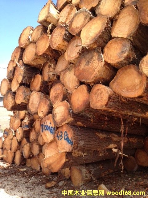 ����(gu��)��ɼԭľ��Ԕ��(x��)��B